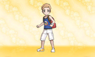 Trainer Customization