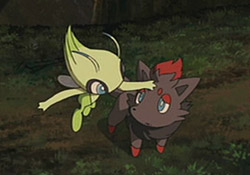 Celebi and Zorua