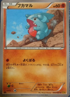 Gible XY9