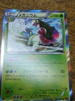 Meganium XY9