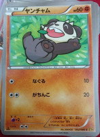 Pancham XY9