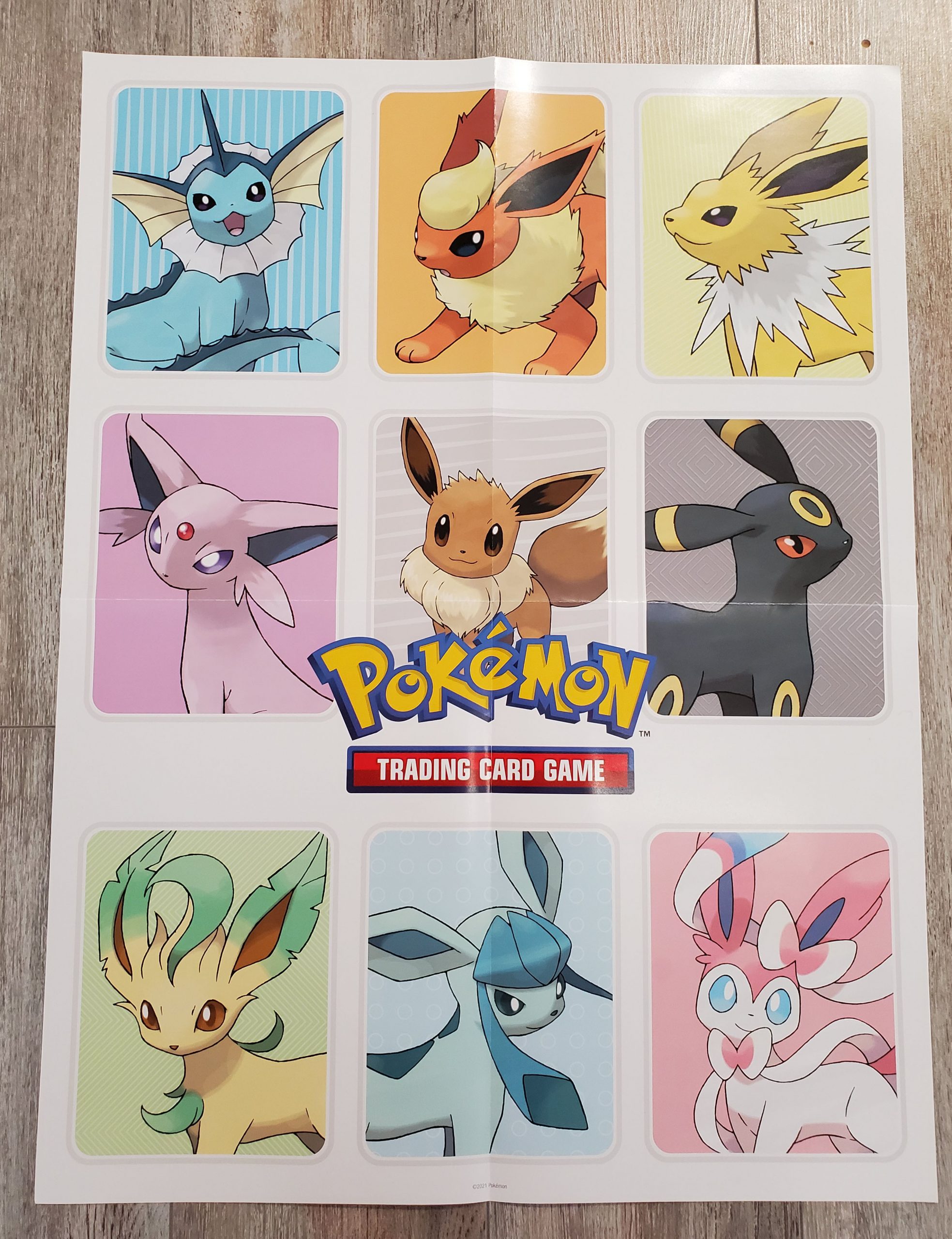 these are probably all the eeveelutions