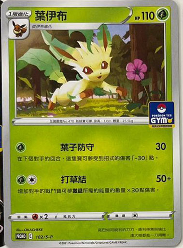 Dracovish V, Leafeon, Glaceon, Blunder Policy, and Other Gym Promos  Revealed! 