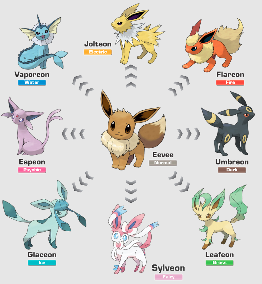 Eevee Evolutions Premium Collection USA Exclusive 