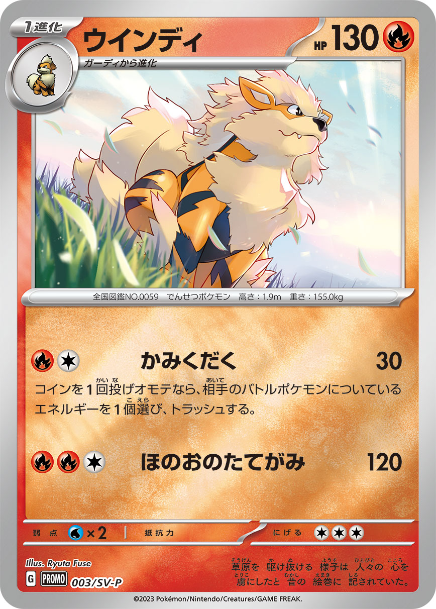 Koraidon ex / Miraidon ex Store Oversize Promo Card Revealed, PokeGuardian