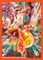 Charizard-ex-Premium-Collection-SLeeves-145x200.jpg