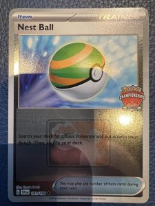 Nest-Ball-Europe-Championships-225x300.jpeg