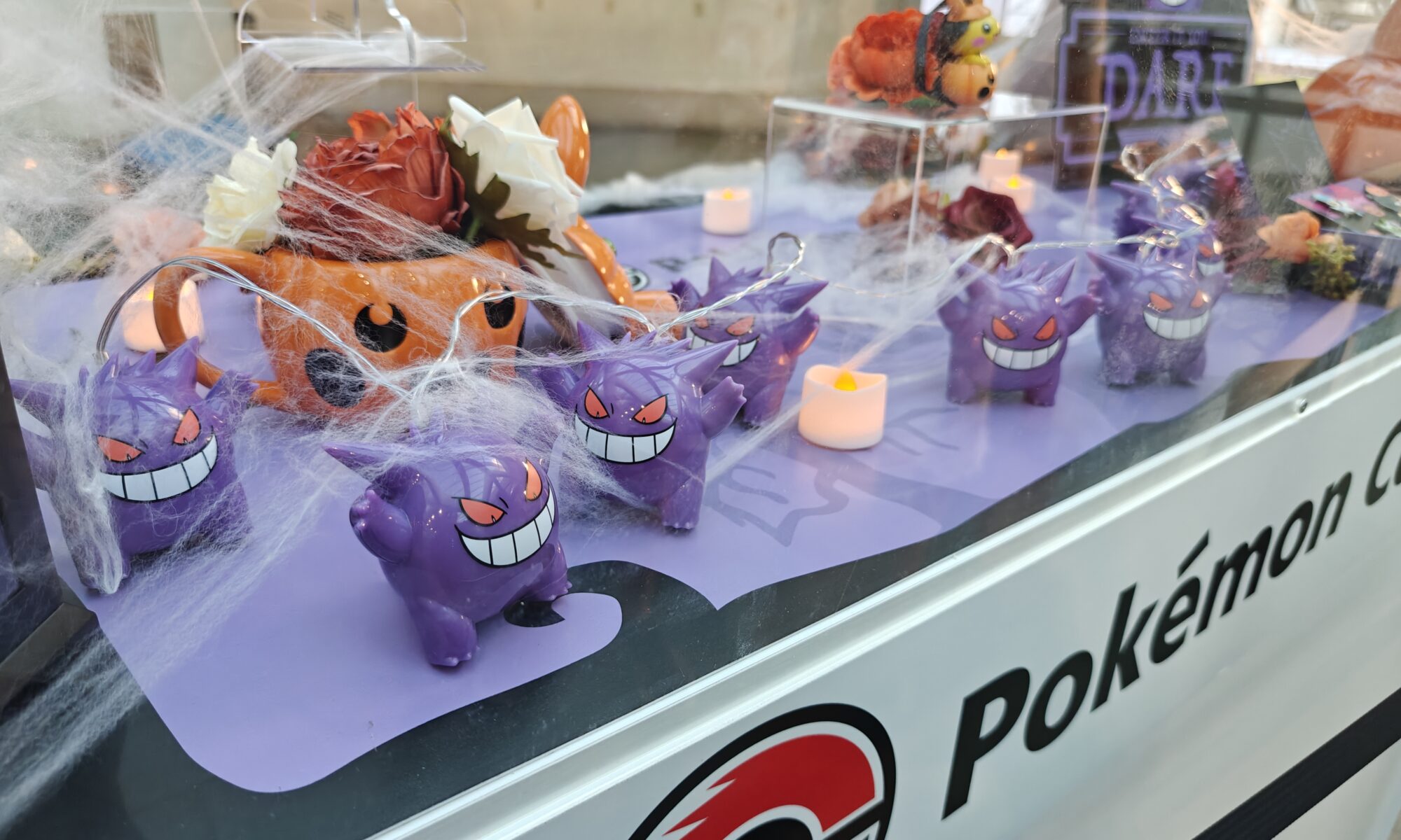 Pokémon TCG, Games, and Anime Forums