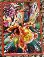 Pikachu-Tera-Charizard-Sleeve-153x200.jpg