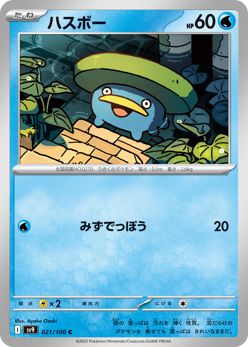 047029_P_HASUBO.jpg