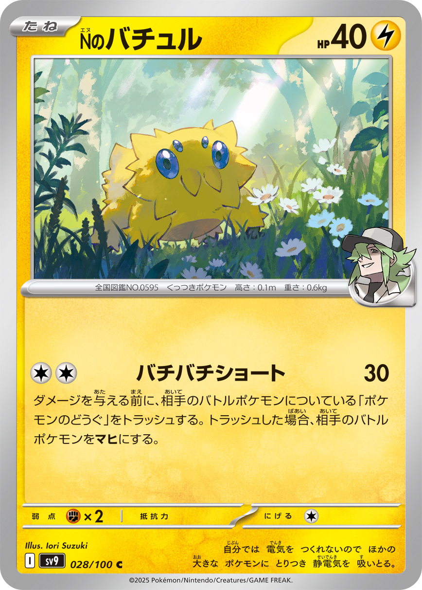 047036_P_NNOBACHIXYURU.jpg