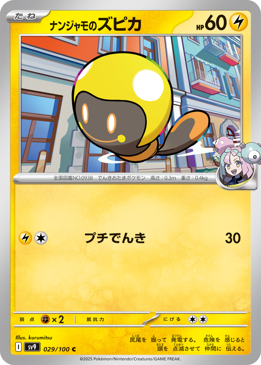 047037_P_NANJIXYAMONOZUPIKA.jpg