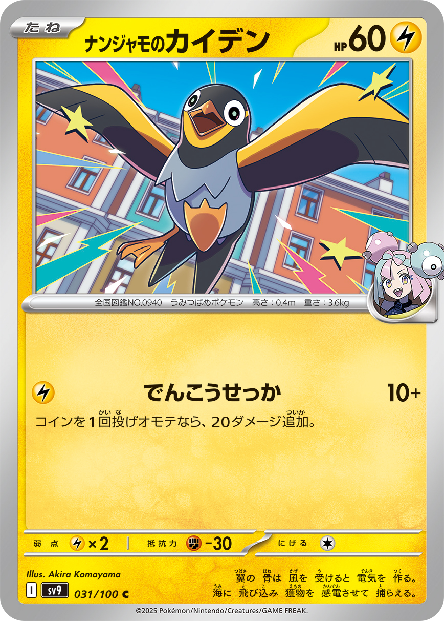 047039_P_NANJIXYAMONOKAIDEN.jpg